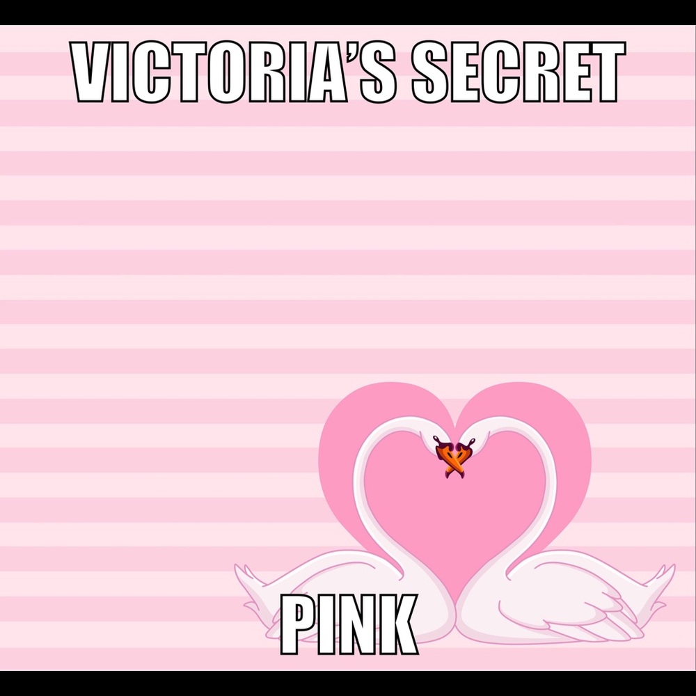 Victoria’s Secret and Pink